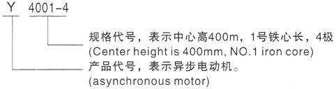 西安泰富西玛Y系列(H355-1000)高压YKS50010-4/1400KW三相异步电机型号说明